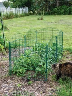 6 Panel Critter Fence With Gate -Garden Care Store 8612967 2570 tif