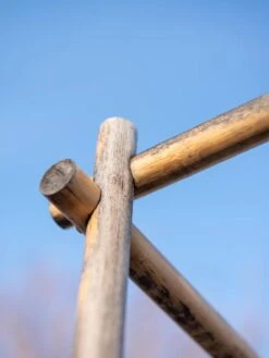 Tomato Six Pack Support 18 Tomato Six Pack Support -Garden Care Store 8613143 0385 1