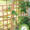 Bamboo Zig-Zag Trellis 24" X 36" 1 Bamboo Zig-Zag Trellis 24" X 36" -Garden Care Store 8613151 15