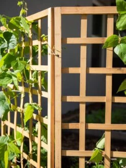 Bamboo Zig-Zag Trellis 24" X 36" -Garden Care Store 8613151 6491