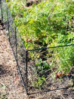 Chicken Wire Critter Fence, 16" High -Garden Care Store 8613249 0309
