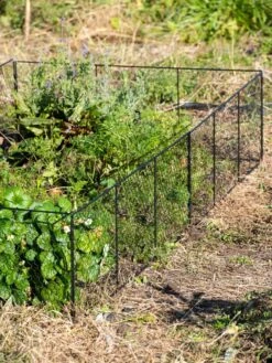 Chicken Wire Critter Fence, 16" High -Garden Care Store 8613249 0336