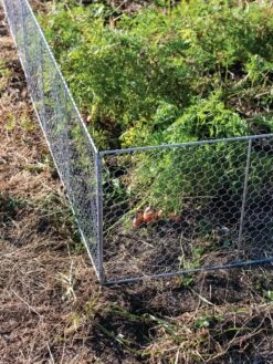 Chicken Wire Critter Fence, 16" High -Garden Care Store 8613249 0358