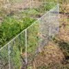 Chicken Wire Critter Fence, 16" High -Garden Care Store 8613249 0368 chicken wire critter fence 16 inches high