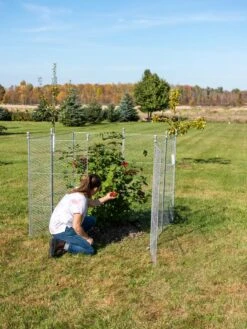 Tall Chicken Wire Critter Fence Extension Panel, Set Of 2 -Garden Care Store 8613260 0090