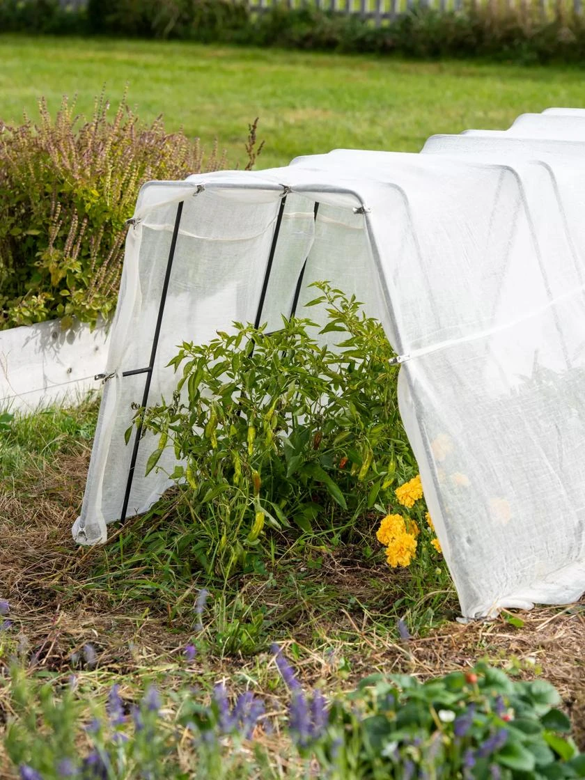 Zenith Garden Hoops, Set Of 4 6 Zenith Garden Hoops, Set Of 4 - Image 4