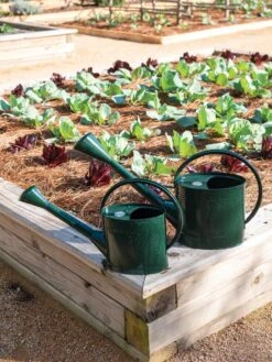 Long Reach Watering Can, Large -Garden Care Store 8613346 0148 1