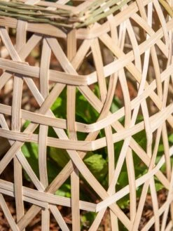 Bamboo Cloche, Set Of 2 -Garden Care Store 8613351 0153