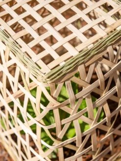 Bamboo Cloche, Set Of 2 -Garden Care Store 8613351 0154