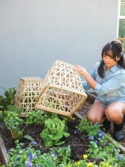 Bamboo Cloche, Set Of 2 -Garden Care Store 8613351 6862