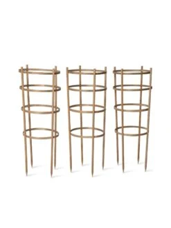 Bamboo Tomato Cages, Set Of 3 -Garden Care Store 8613426 4679 bamboo tomato cages 3