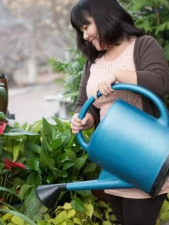 French Blue Watering Can -Garden Care Store EmilyHoangSquare 0151 tif