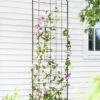 Jardin Flower Trellis -Garden Care Store GS38689 02 tif