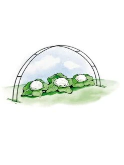 Super Hoops, Set Of 6 -Garden Care Store GS39423 02S 3 4