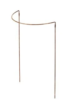 Jardin Half-Round Plant Supports, Set Of 2 5 Jardin Half-Round Plant Supports, Set Of 2 -Garden Care Store GS39525 01S tif