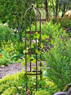 Jardin Bird Cage Support, 26" -Garden Care Store GS39529 01 tif